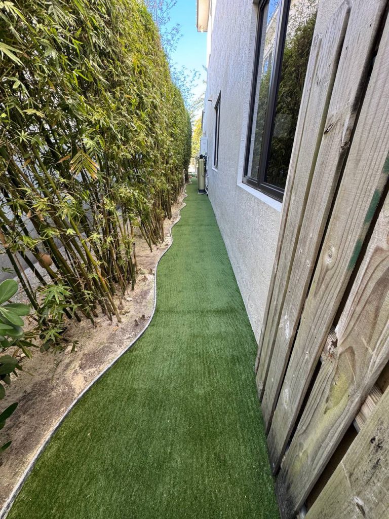 Narrow turf passage between a white house wall and a bamboo hedge.