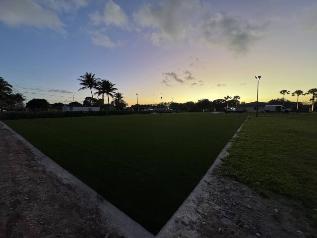 Green outdoor surface in an open outdoor area at dusk.