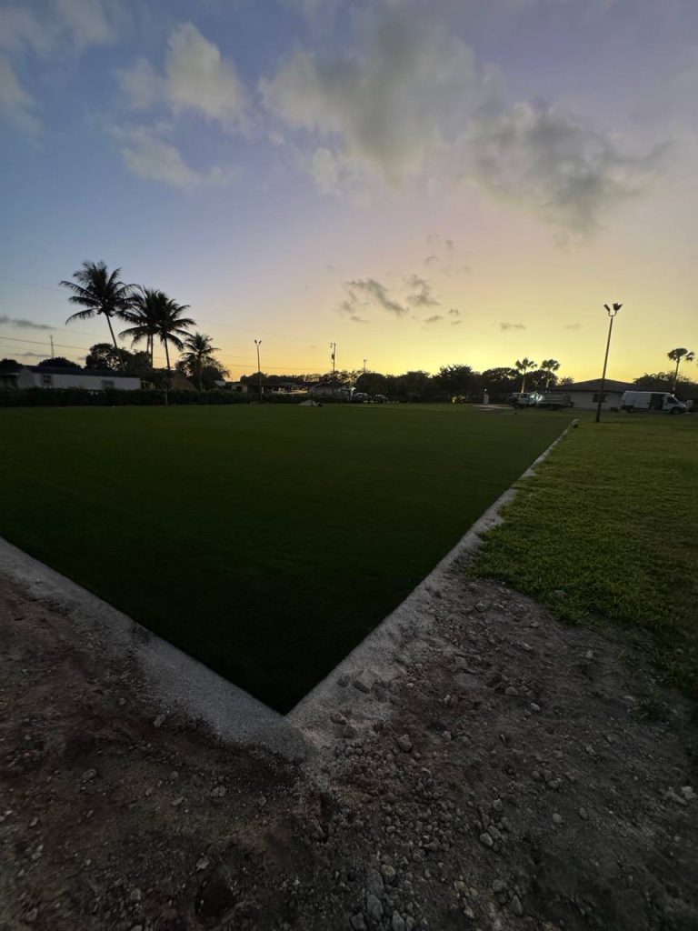 Green outdoor surface in an open outdoor area at dusk.