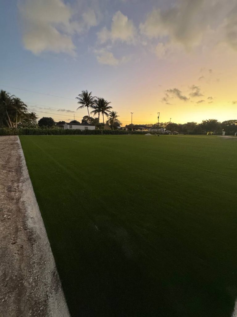 Green outdoor surface in an open outdoor area at dusk.