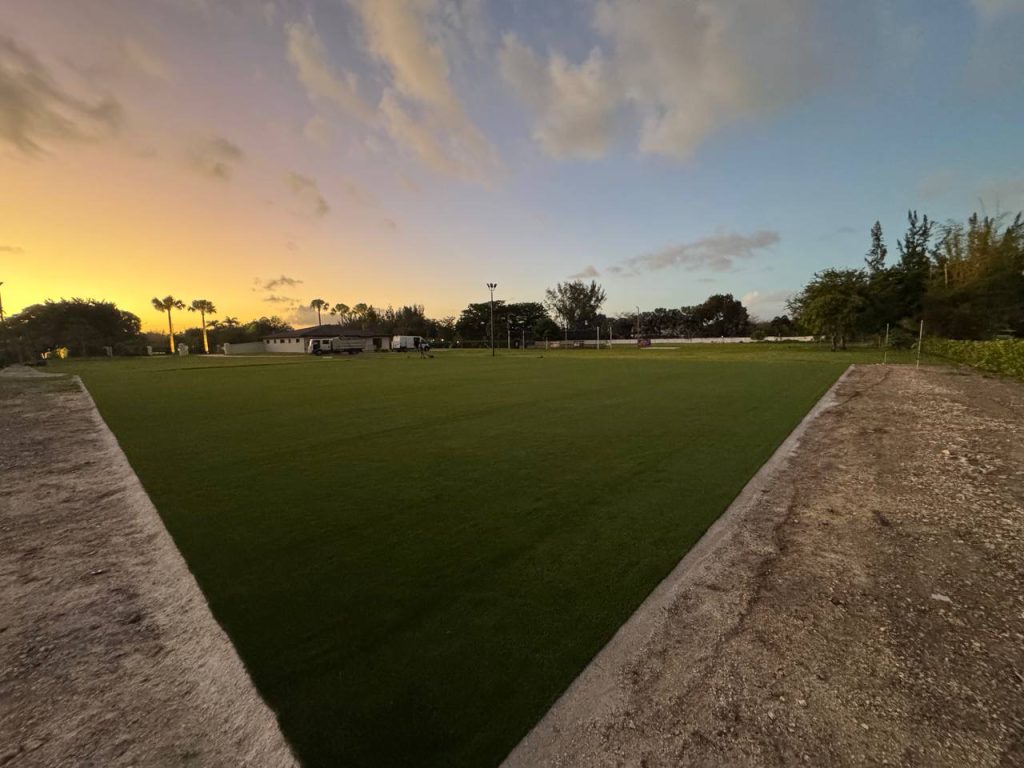 Green outdoor surface in an open outdoor area at dusk.