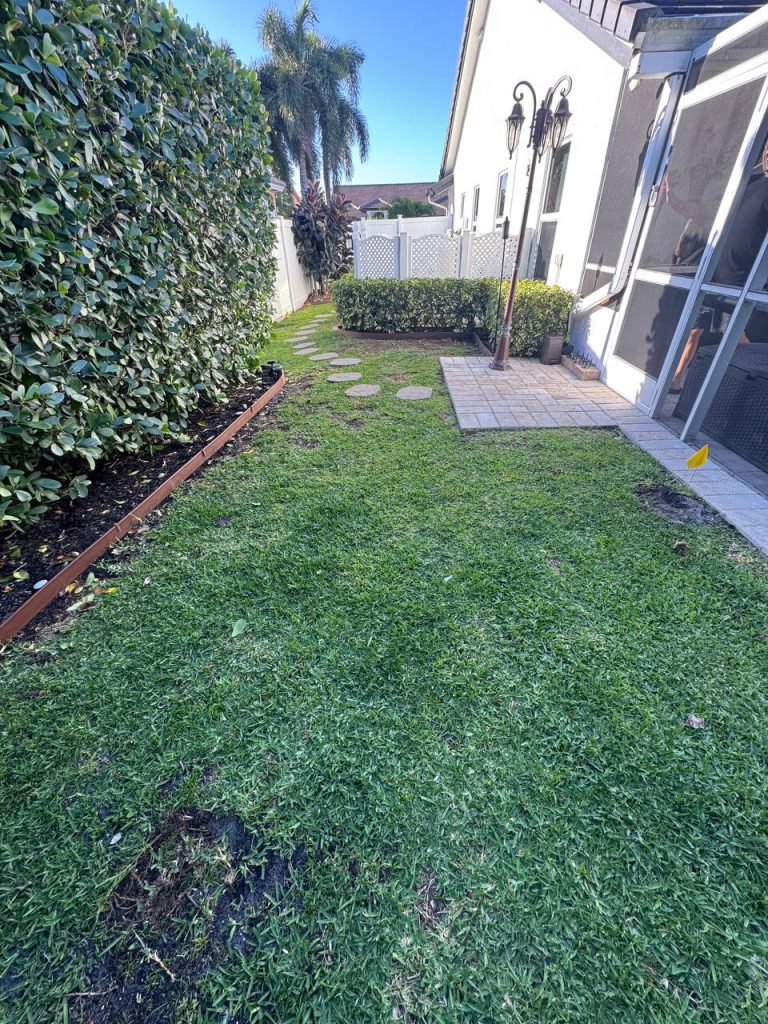 Earlier ground surface beside a hedge and screened patio.