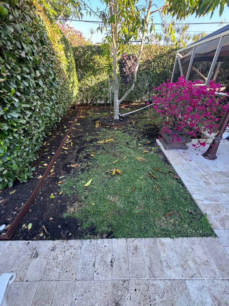 Earlier ground surface beside a hedge and screened patio.