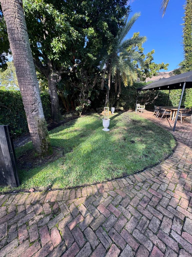 Earlier ground surface around palms and curved brick paths.