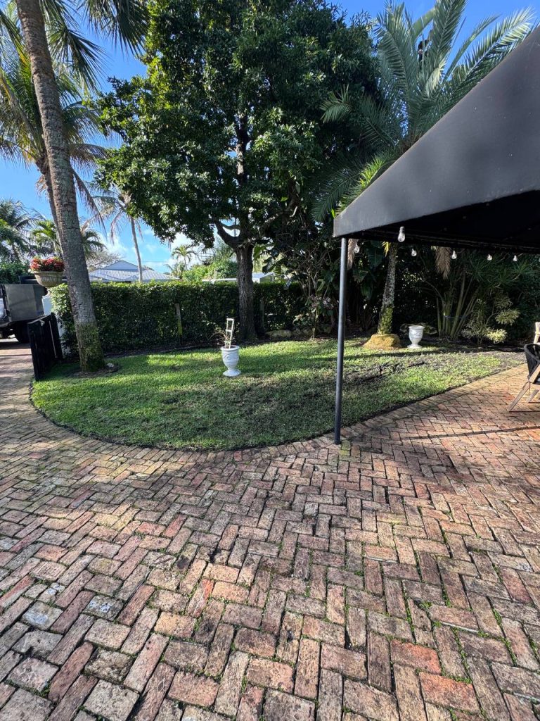 Earlier ground surface around palms and curved brick paths.