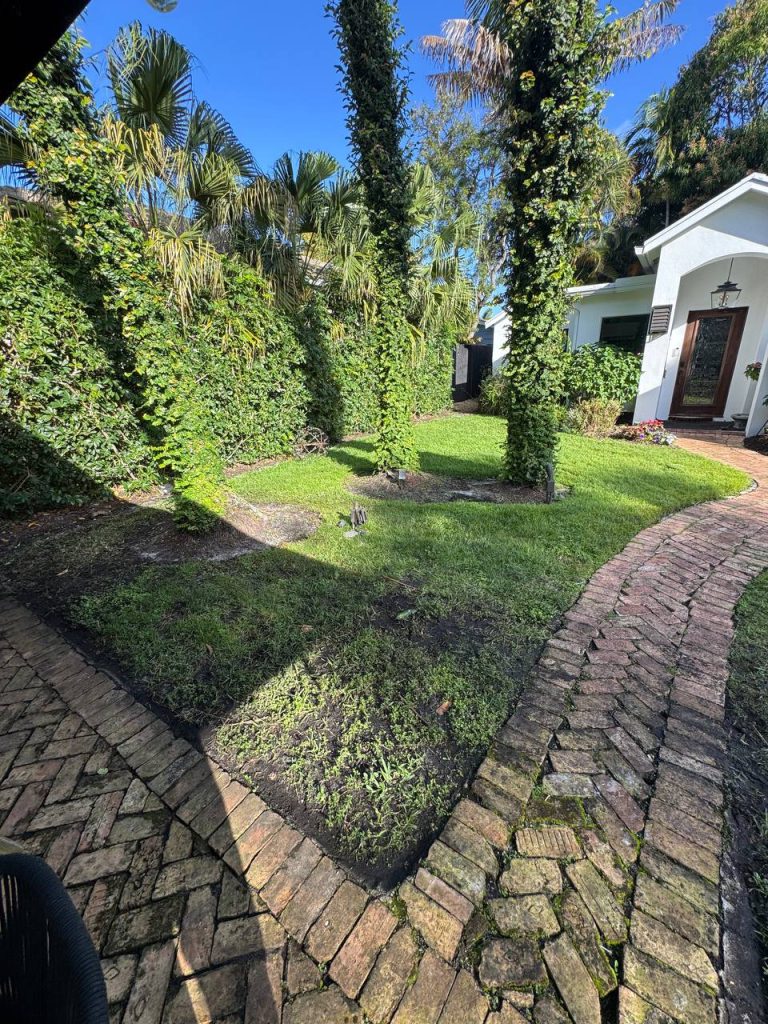 Earlier ground surface around palms and curved brick paths.