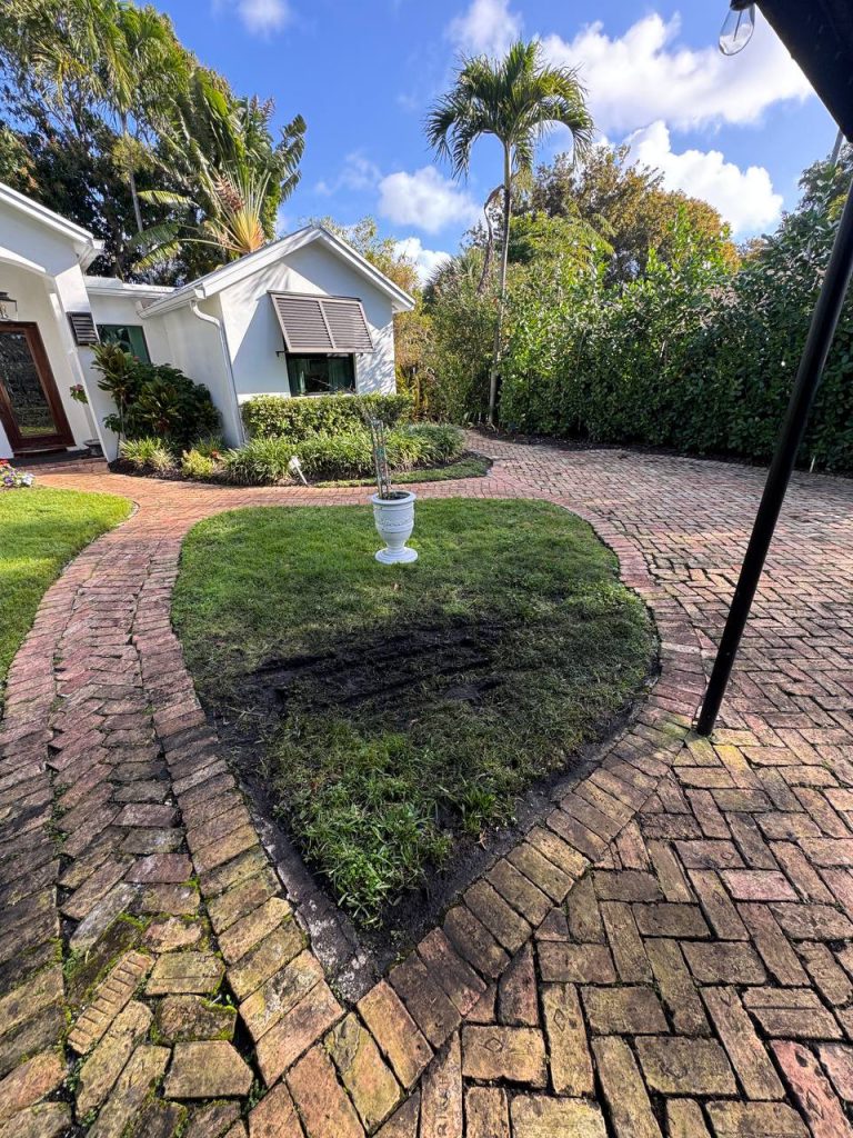 Earlier ground surface around palms and curved brick paths.