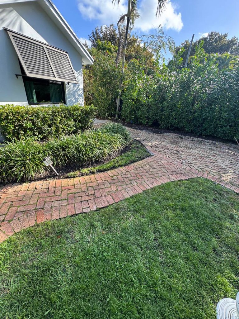 Earlier ground surface around palms and curved brick paths.