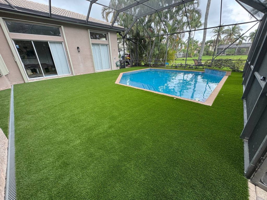 Artificial turf surrounding a swimming pool inside a screen enclosure.