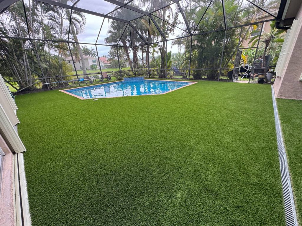 Turf around a swimming pool inside a screen enclosure.