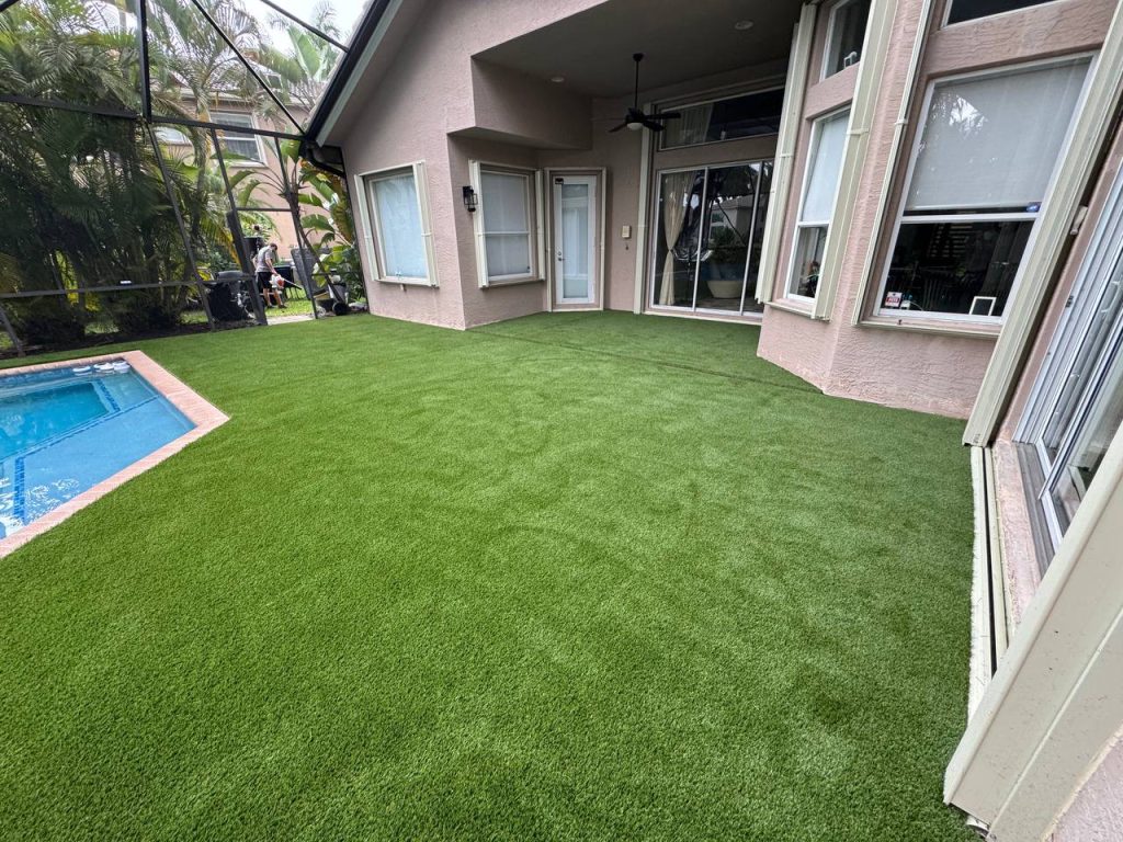 Turf around a swimming pool inside a screen enclosure.