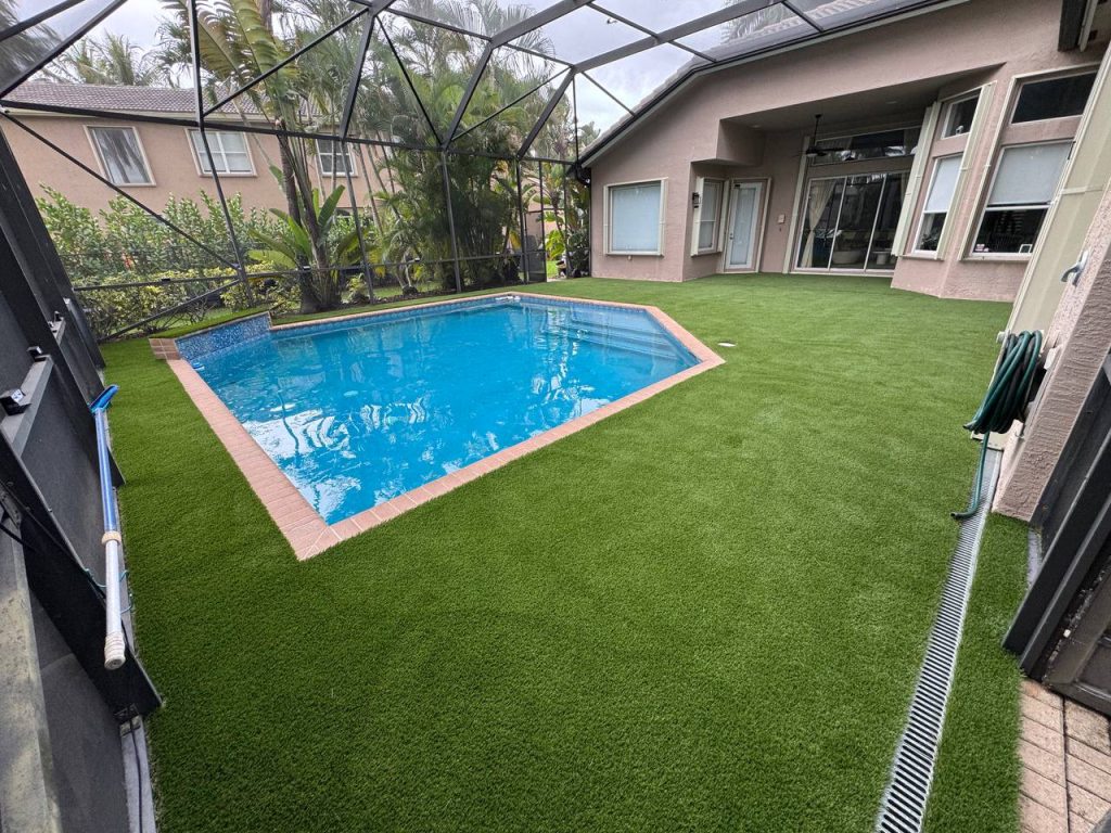 Turf around a swimming pool inside a screen enclosure.