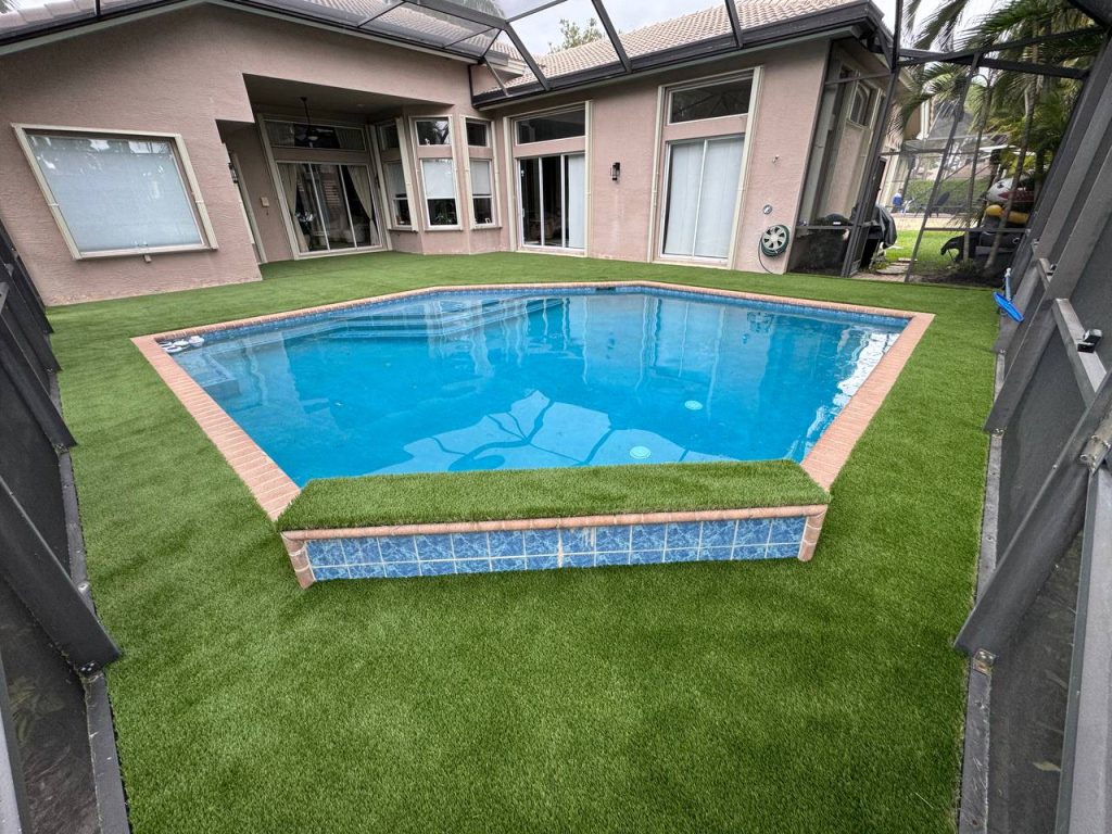 Turf around a swimming pool inside a screen enclosure.