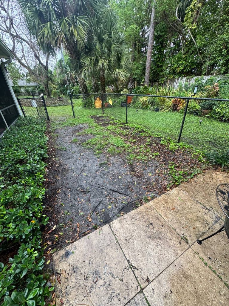 Earlier ground surface in a side lawn beside a chain-link fence.