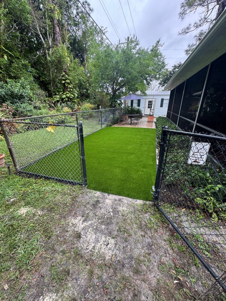 Turf in a side lawn beside a chain-link fence.